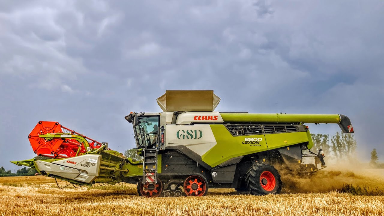 Claas Lexion 8800 & 780 Terra Trac in Action | Massive Wheat Harvest in Western Hungary