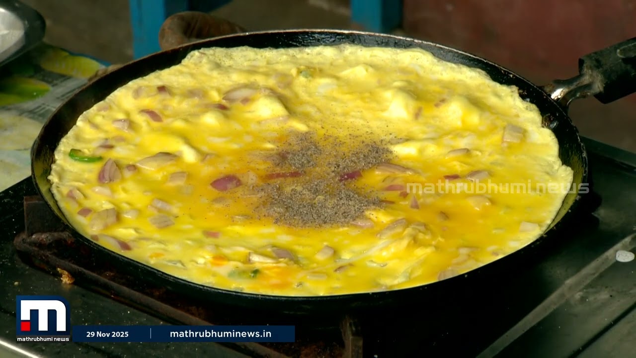 ഒറ്റയാൾ പോരാട്ടമാണ്... വരുന്ന ആളുകൾക്ക് നല്ല ആഹാരം വിളമ്പാനാണ് നോക്കുന്നത് | Karunagappally