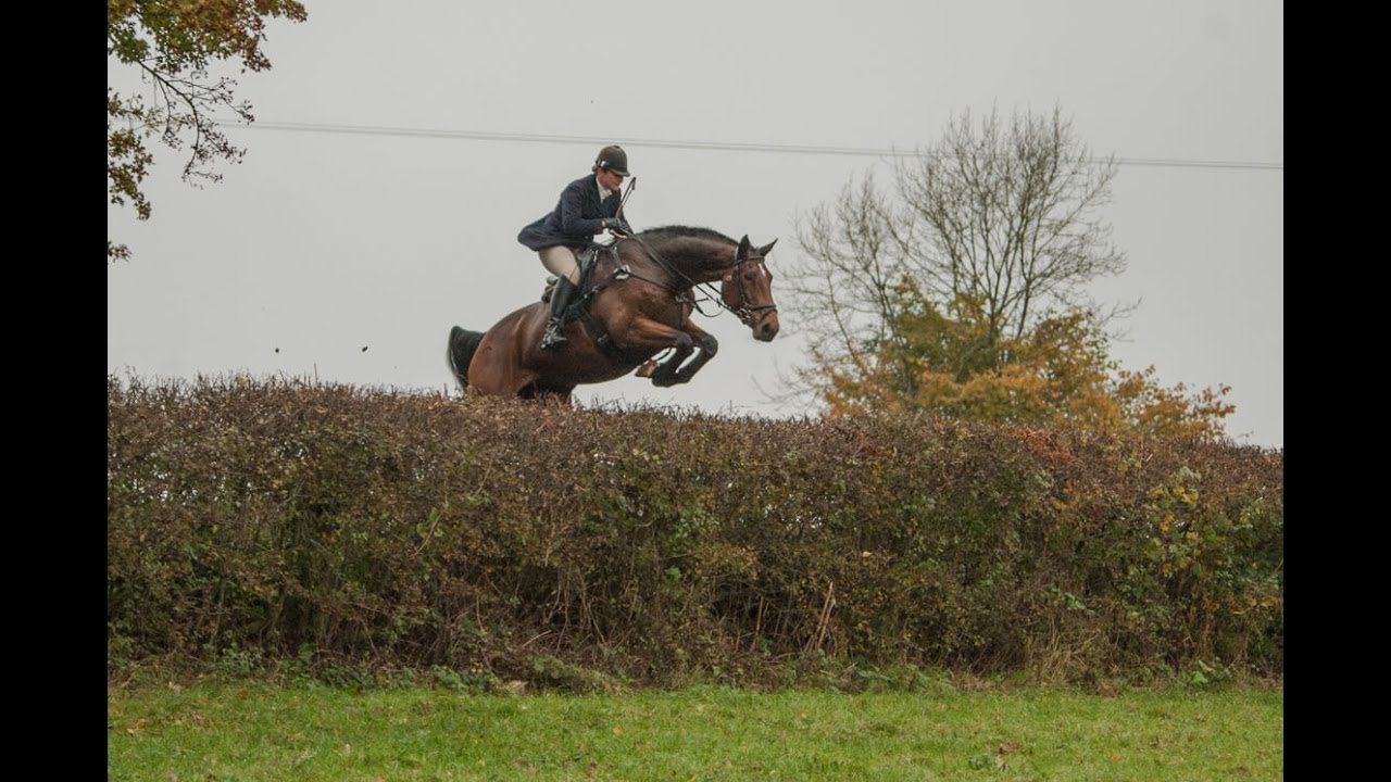 North Herefordshire Hunt Opening Meet 29th October 2016