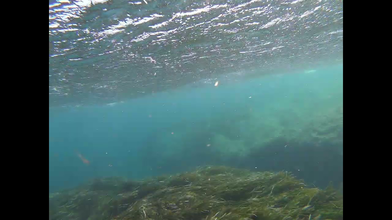 Ile of Porquerolles - Plage d'Argent Shore Dive Part 2