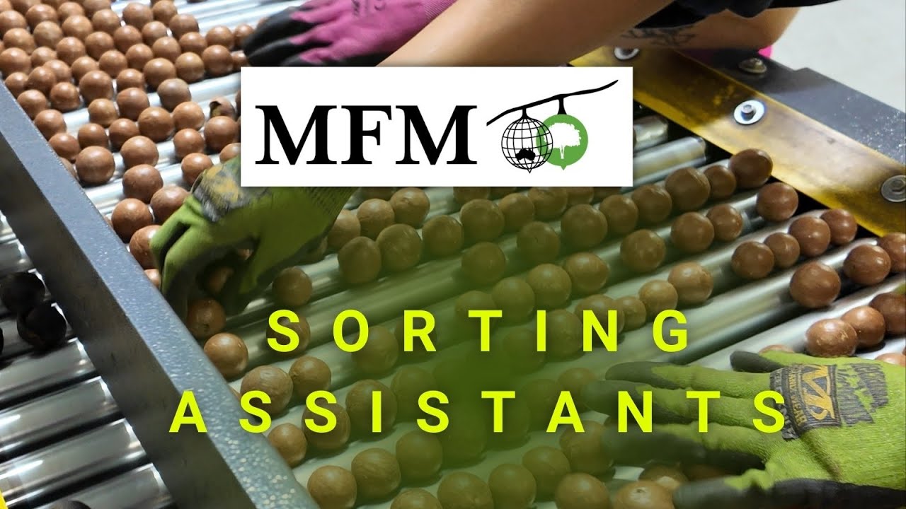 MFM Sorting Assistant