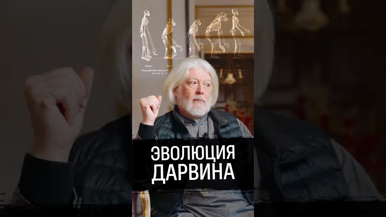 Священник &ndash; про теорию эволюции