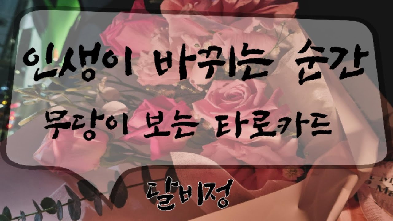 올해 마지막 반전 연말에 바뀌는 흐름 #타로리딩 #타로카드 #신년운세 #내년운세 #사주 #궁합