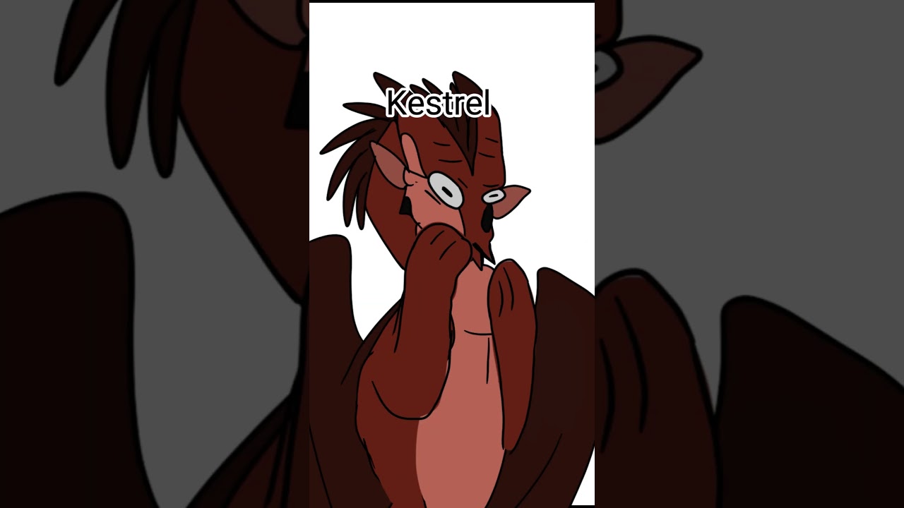 WOF Memes Part 19