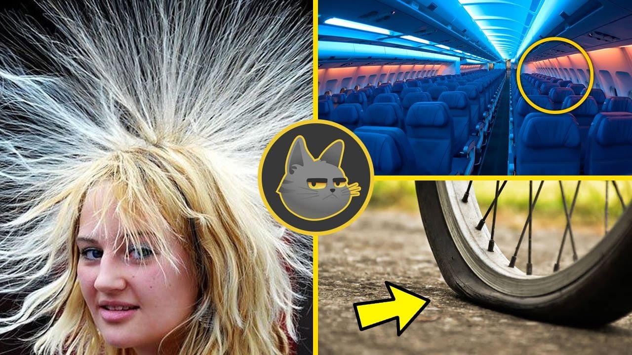 30 Curiosidades Que No Sab&iacute;as En 10 Minutos | 14