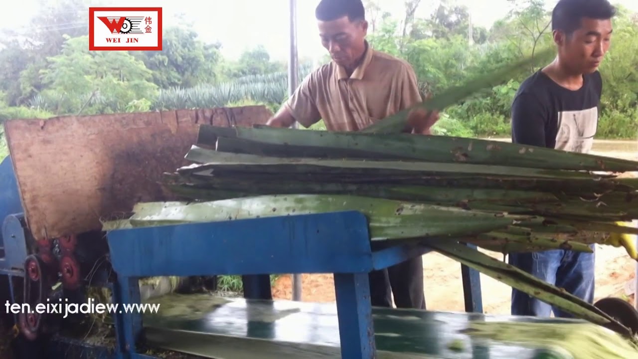 sisal decorticator