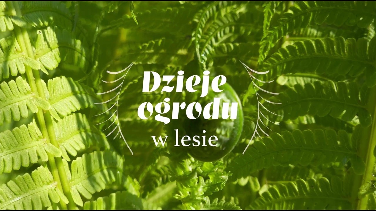 Maj w leśnym  ogrodzie (2025)