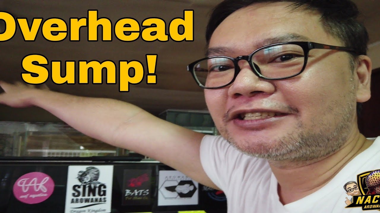 Overhead Sump - How to setup and clean
