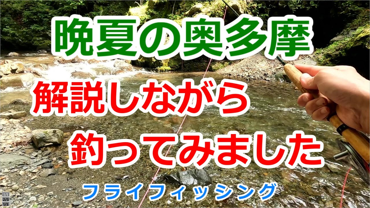 【2025年 晩夏の奥多摩⑨】　解説しながら釣ってみました