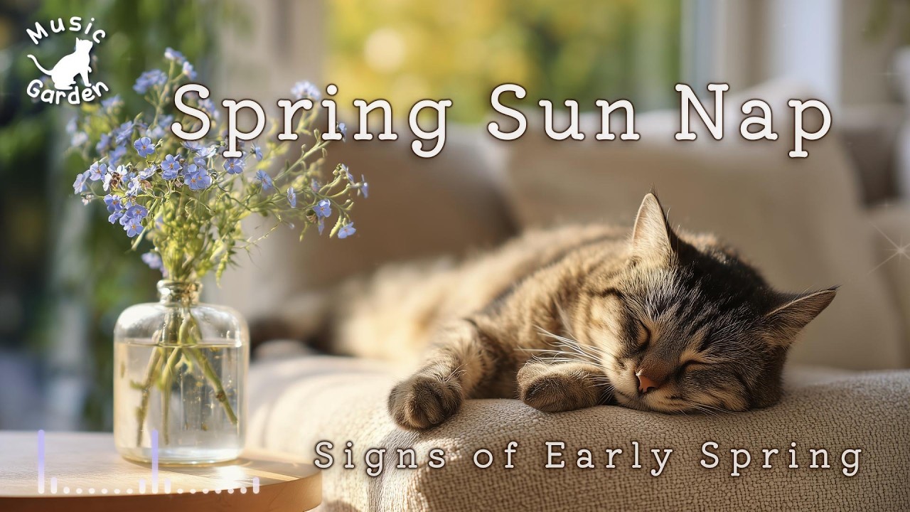 Relaxing Piano BGM 🎹 Spring Sun Nap | Warm Sunny Afternoon | Study & Calm | Signs of Early Spring