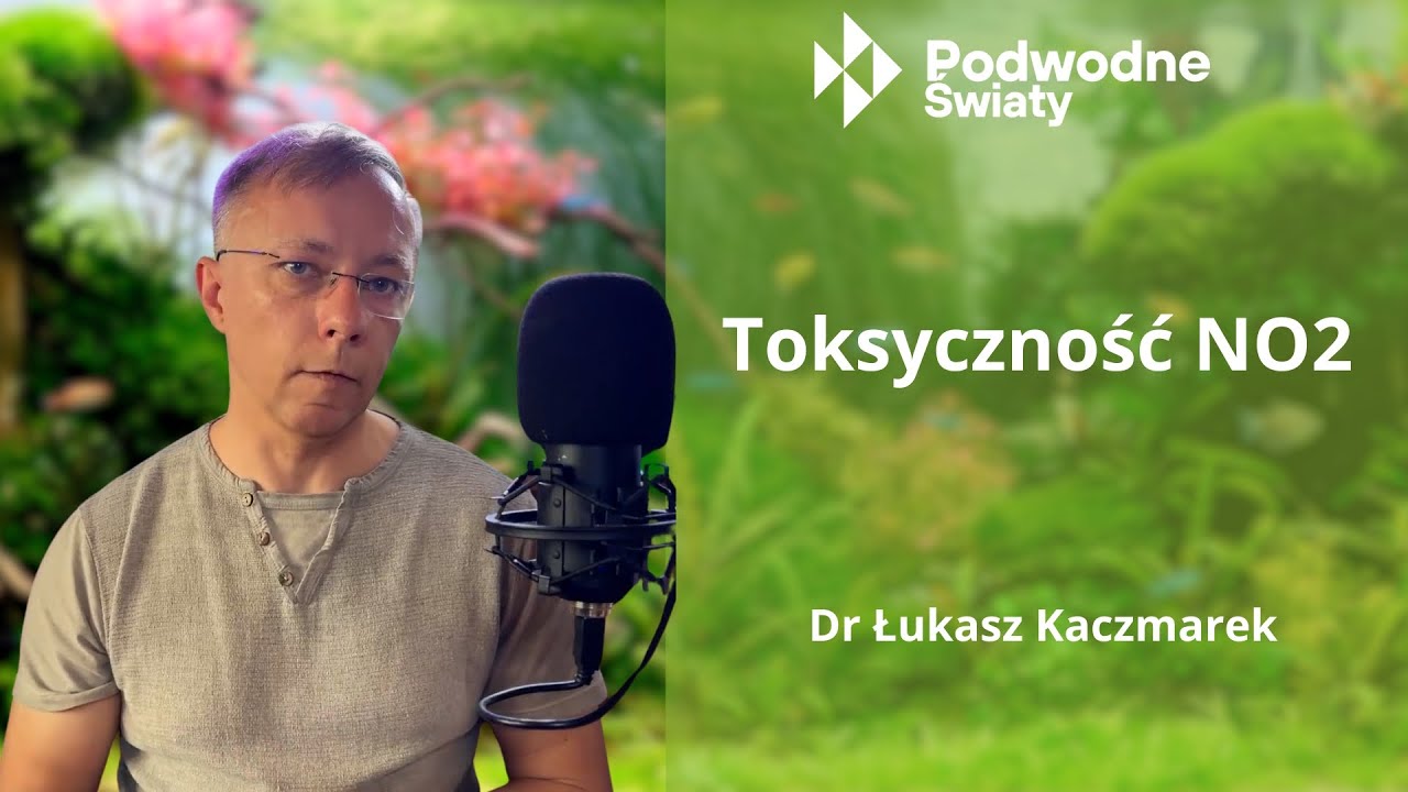 Dr Łukasz Kaczmarek -  Toksyczność NO2
