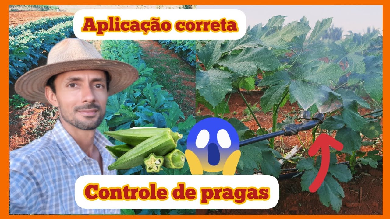 Controle de pragas e eficiência na pulverização, no Quiabo e Hortaliças em geral