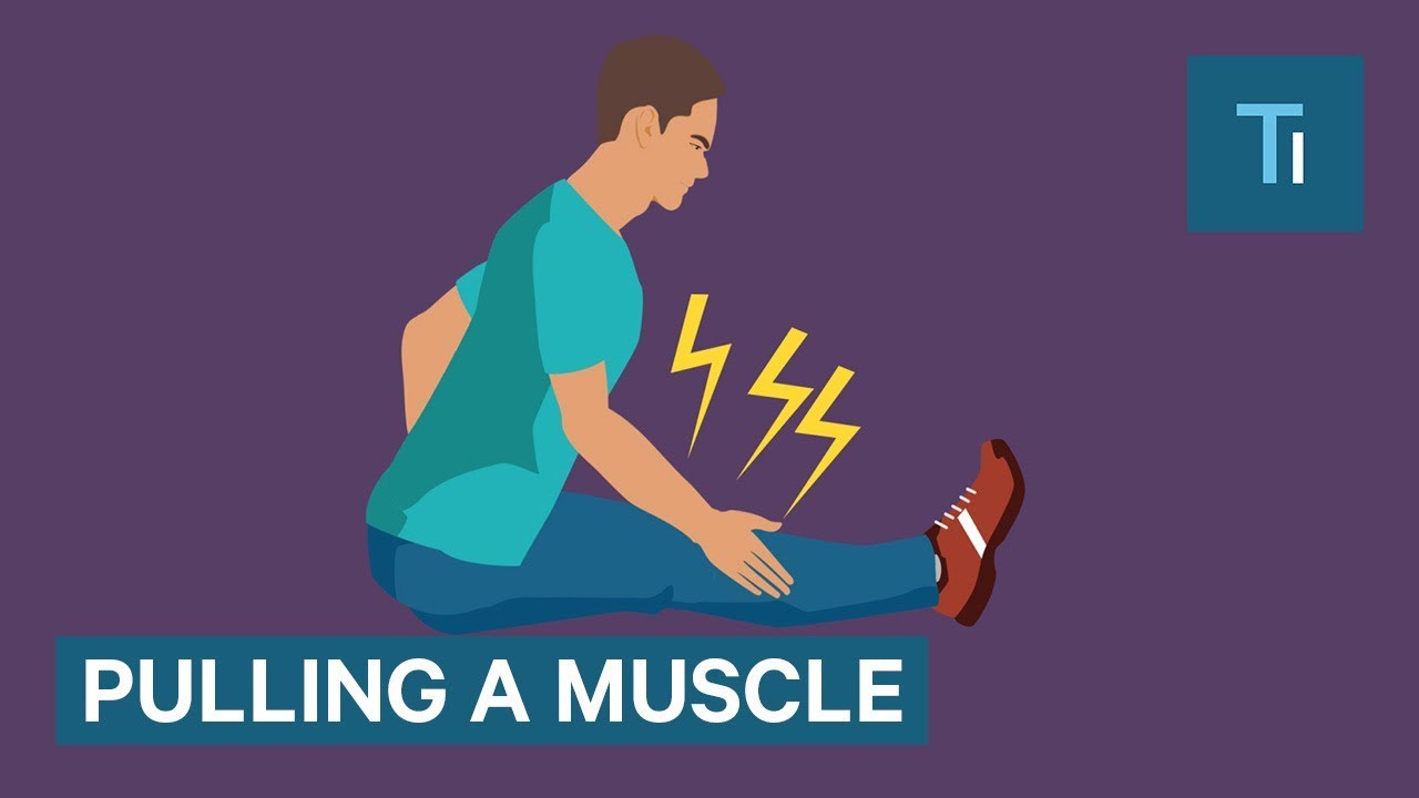 What Happens When You Pull A Muscle