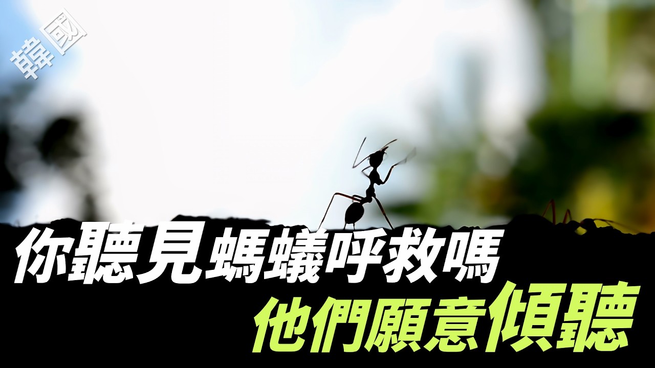 【風月同天｜慈善足跡】 你聽見螞蟻呼救嗎？他們願意傾聽 20260314