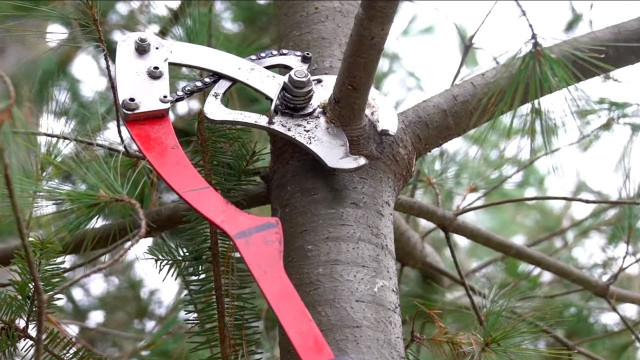 LIMBZIPPER™ PRUNING SYSTEM // Is This The Best Tree Pruner Ever?