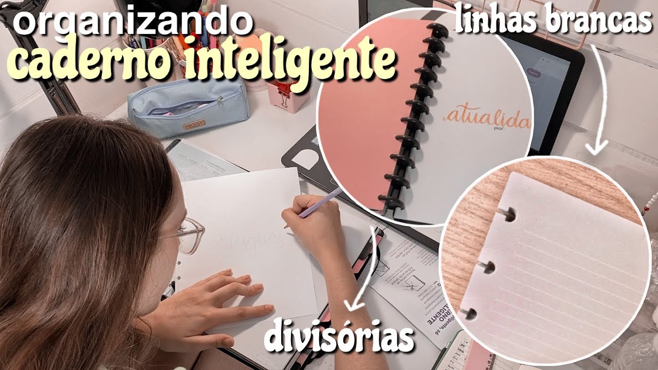 organizando meu CADERNO INTELIGENTE 💗