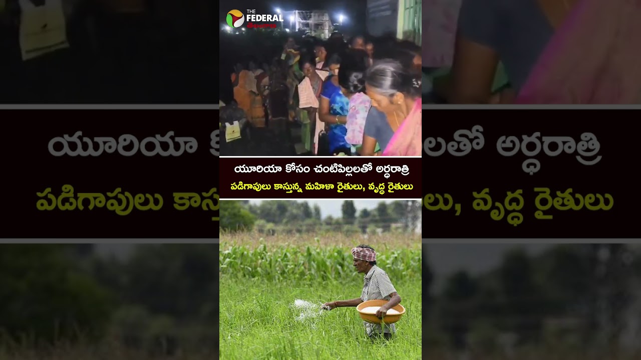 యూరియా కోసం చంటిపిల్లలతో అర్ధరాత్రి పడిగాపులు కాస్తున్న మహిళా రైతులు, వృద్ధ రైతులు #farmersissue