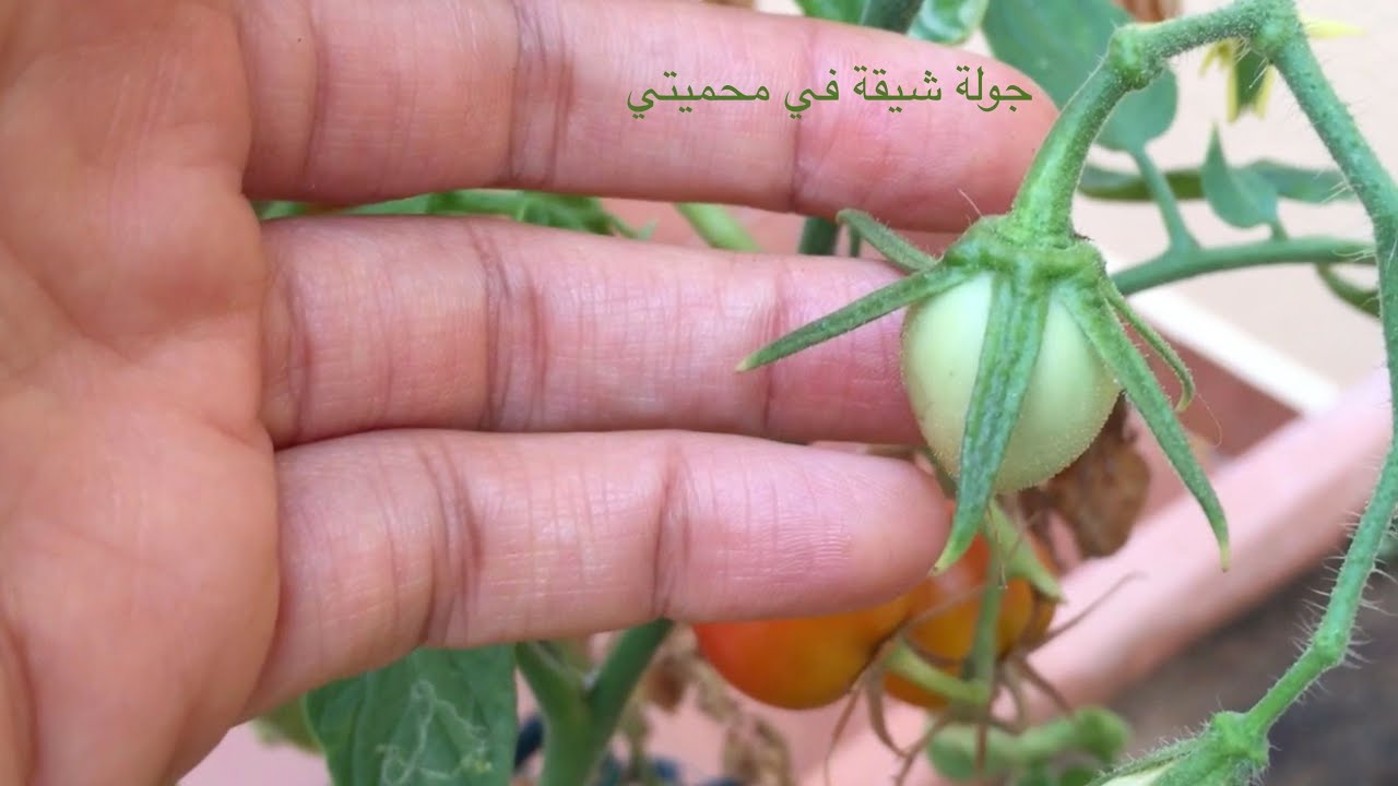 جولة صباحية ممتعة في محميتي