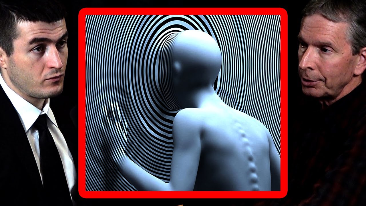 Humans are detached from reality | Donald Hoffman and Lex Fridman