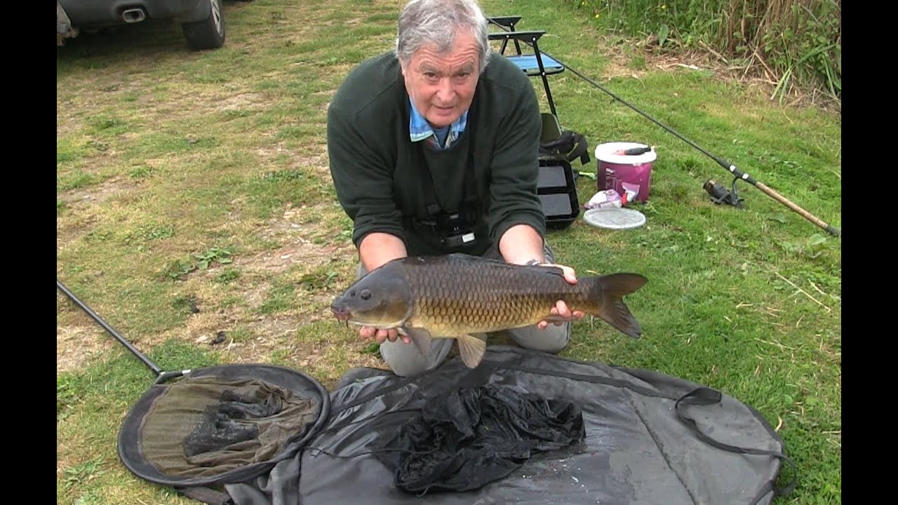 A mixed catch of Carp, Tench, Bream & Rudd using an electric drill !