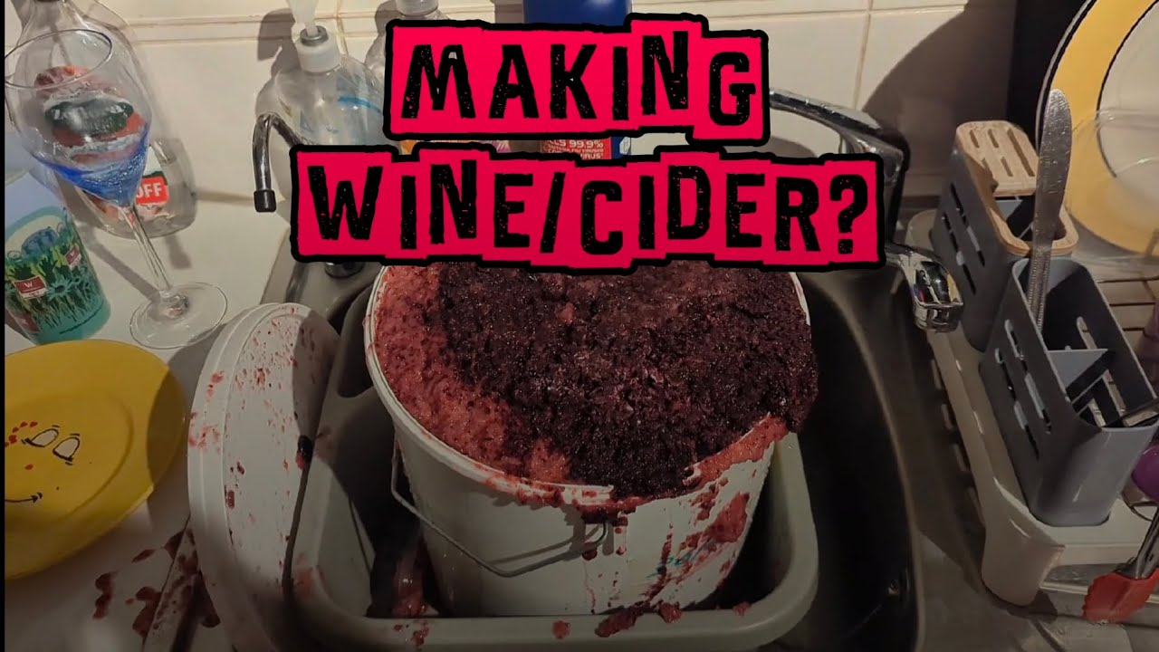 Making Wine/Cider? 