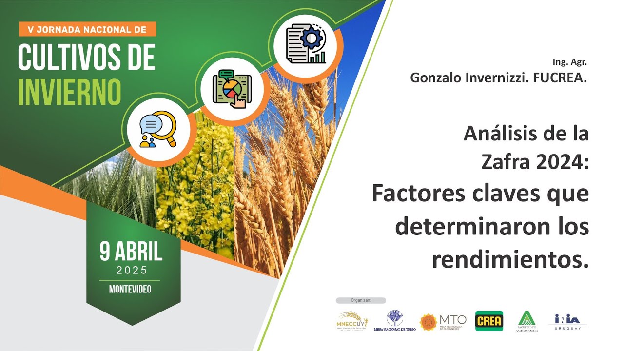 Análisis de la Zafra 2024: Factores claves que determinaron los rendimientos.
