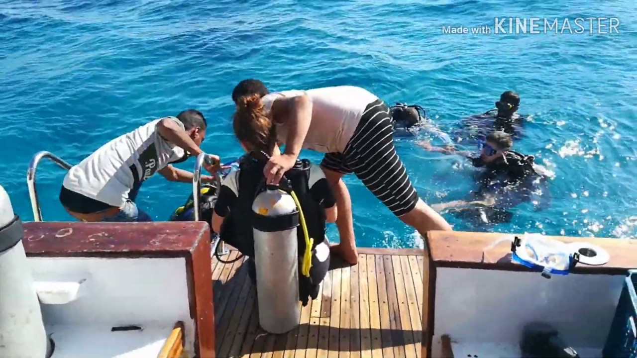 ЕГИПЕТ ЗИМА 2019/ КРАСНОЕ МОРЕ ДАЙВИНГ/ МОРСКАЯ ПРОГУЛКА НА ЯХТЕ