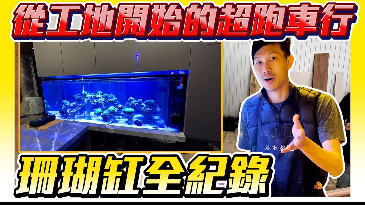 【藍箱水族】超跑車行的海水珊瑚缸~設缸全紀錄！珊瑚混養缸！
