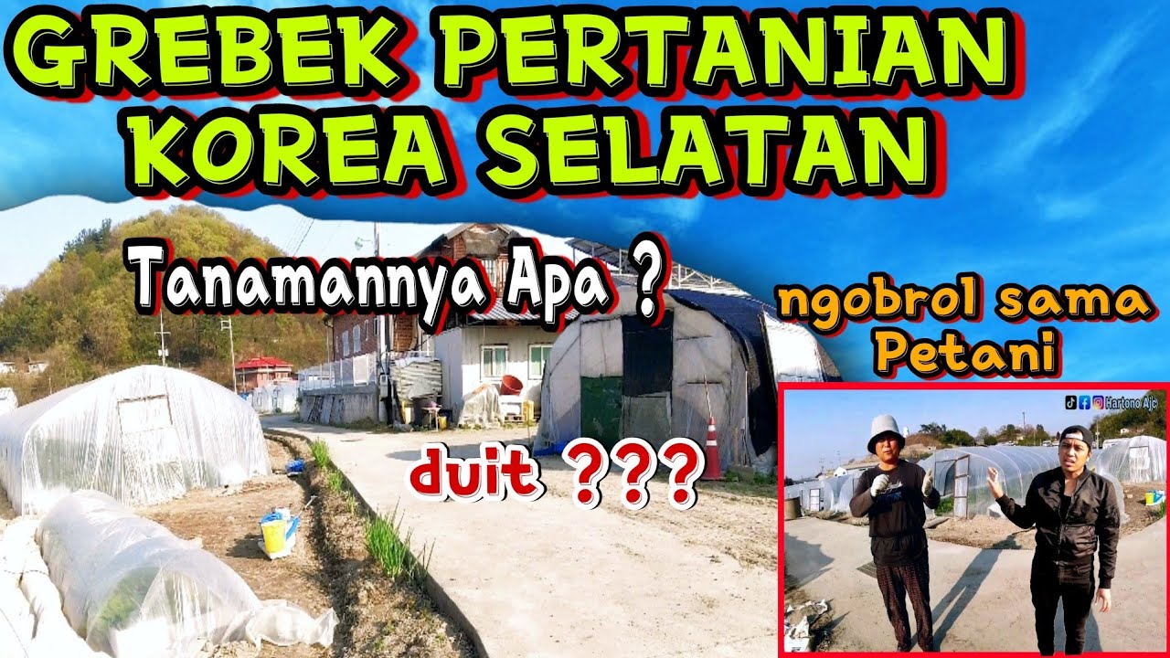 GREBEK PERTANIAN KOREA SELATAN‼️APAKAH MAKMUR PETANINYA ⁉️