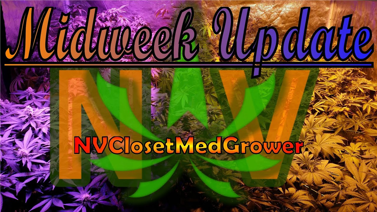 Midweek Update,  3/18/2015