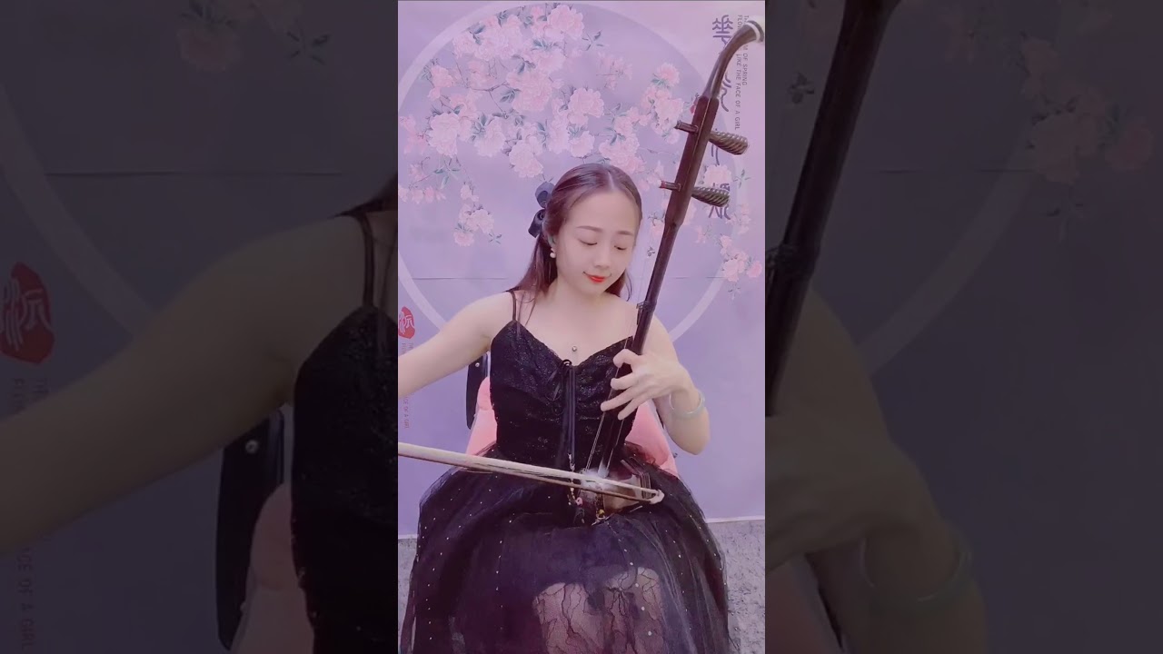 完整版《挡不住的思念》二胡