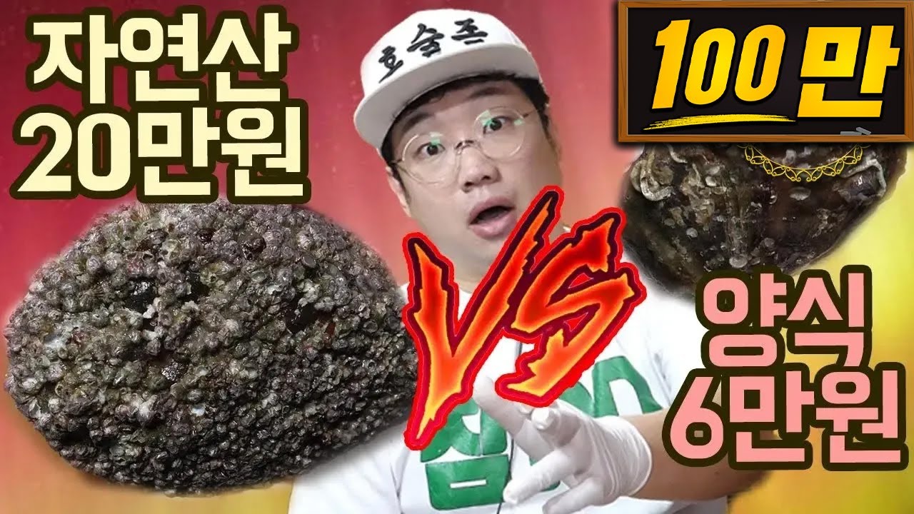 자연산전복 VS 양식전복 비교리뷰  Mukbang eatingshow