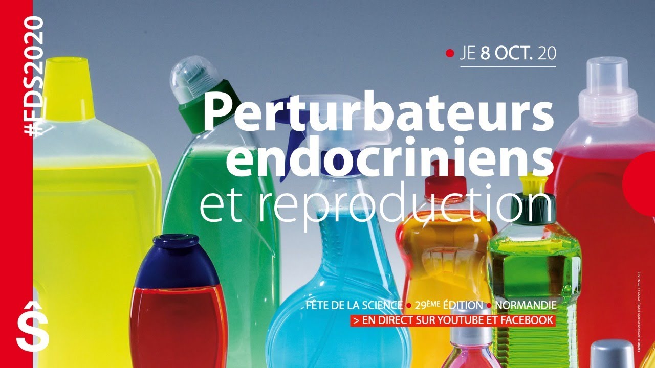 Perturbateurs endocriniens et reproduction