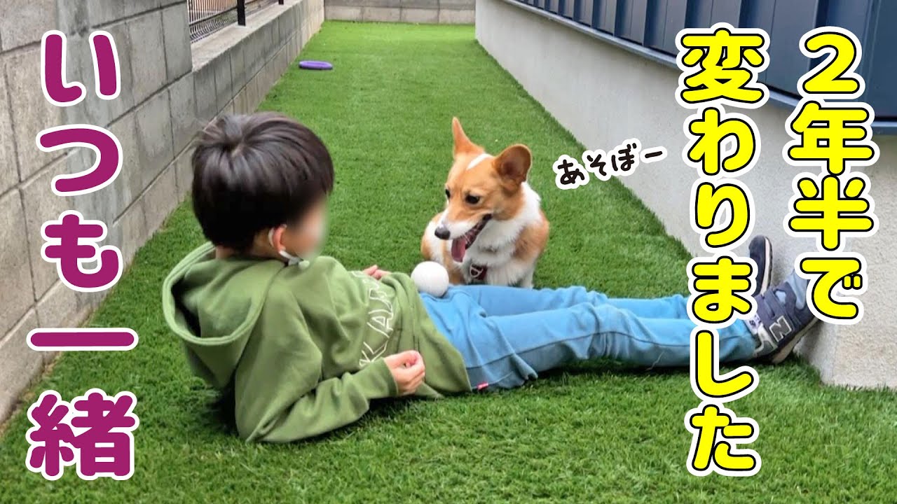 あんなに怖がっていたのに、いつも一緒にいます【犬と子供】