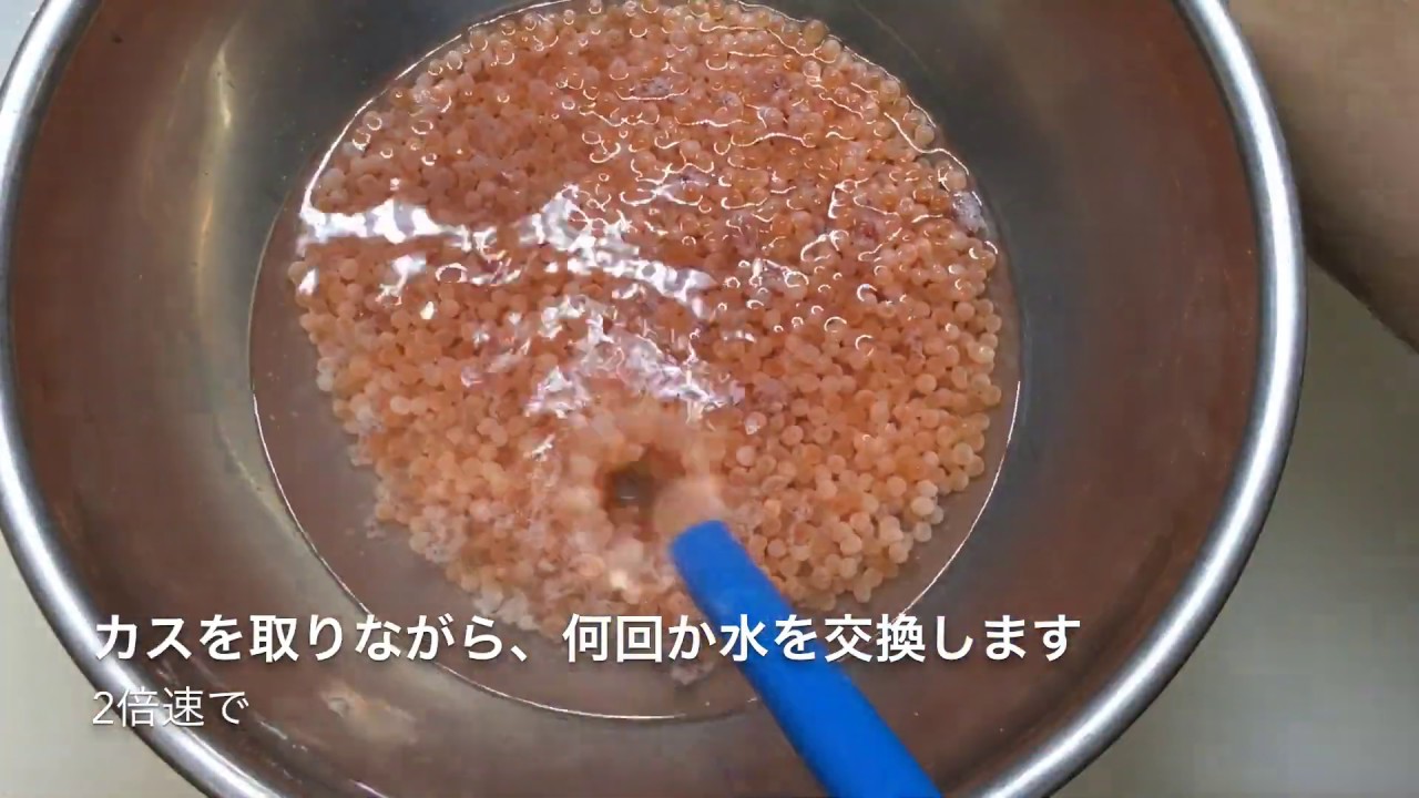 【プロ直伝】 生筋子から塩いくらとイクラの醤油漬けを作る