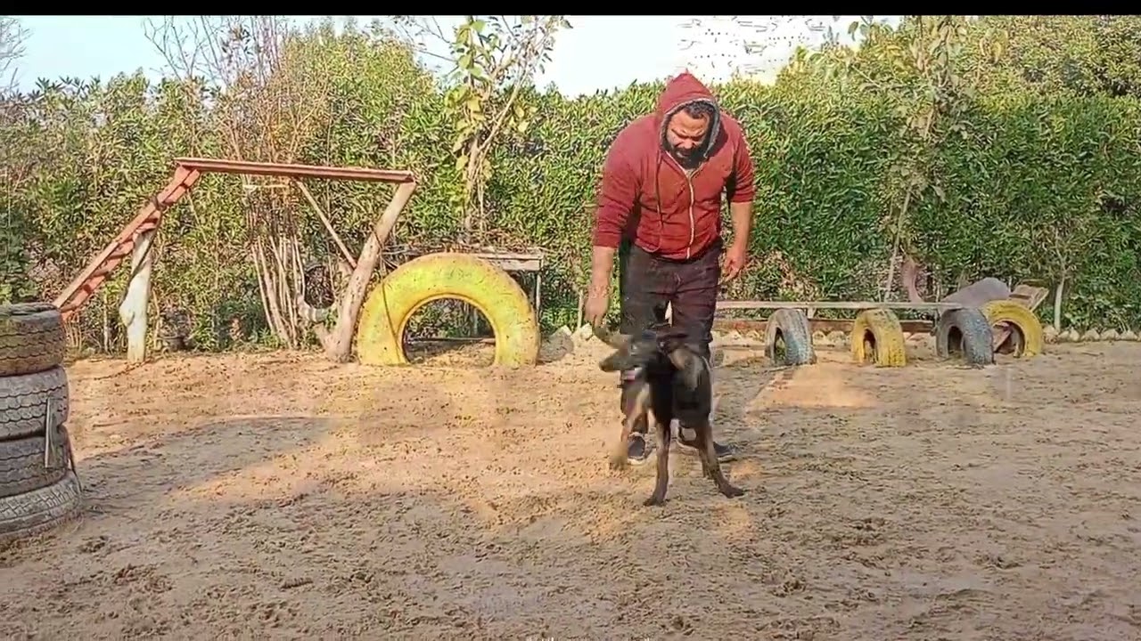 المجرم فاير بعد التعديل