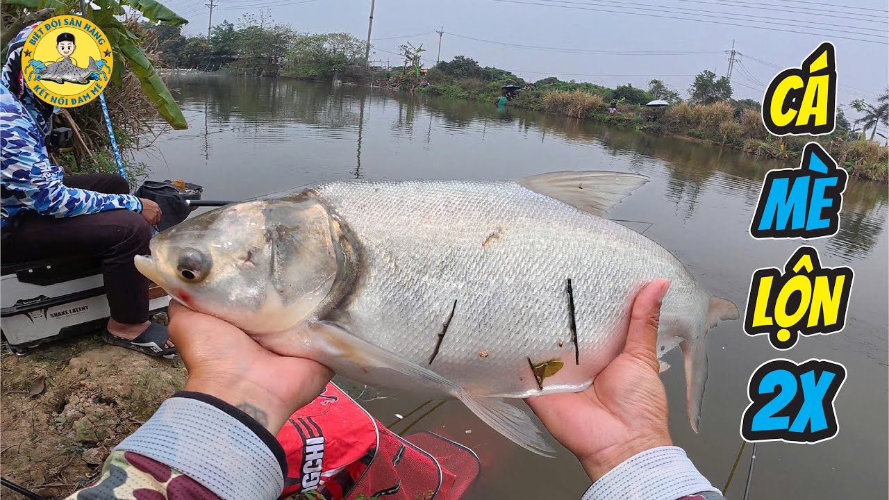 C&acirc;u C&aacute; Ở Hồ B&aacute;n Tự Nhi&ecirc;n L&acirc;u Năm - M&ecirc; Linh HN