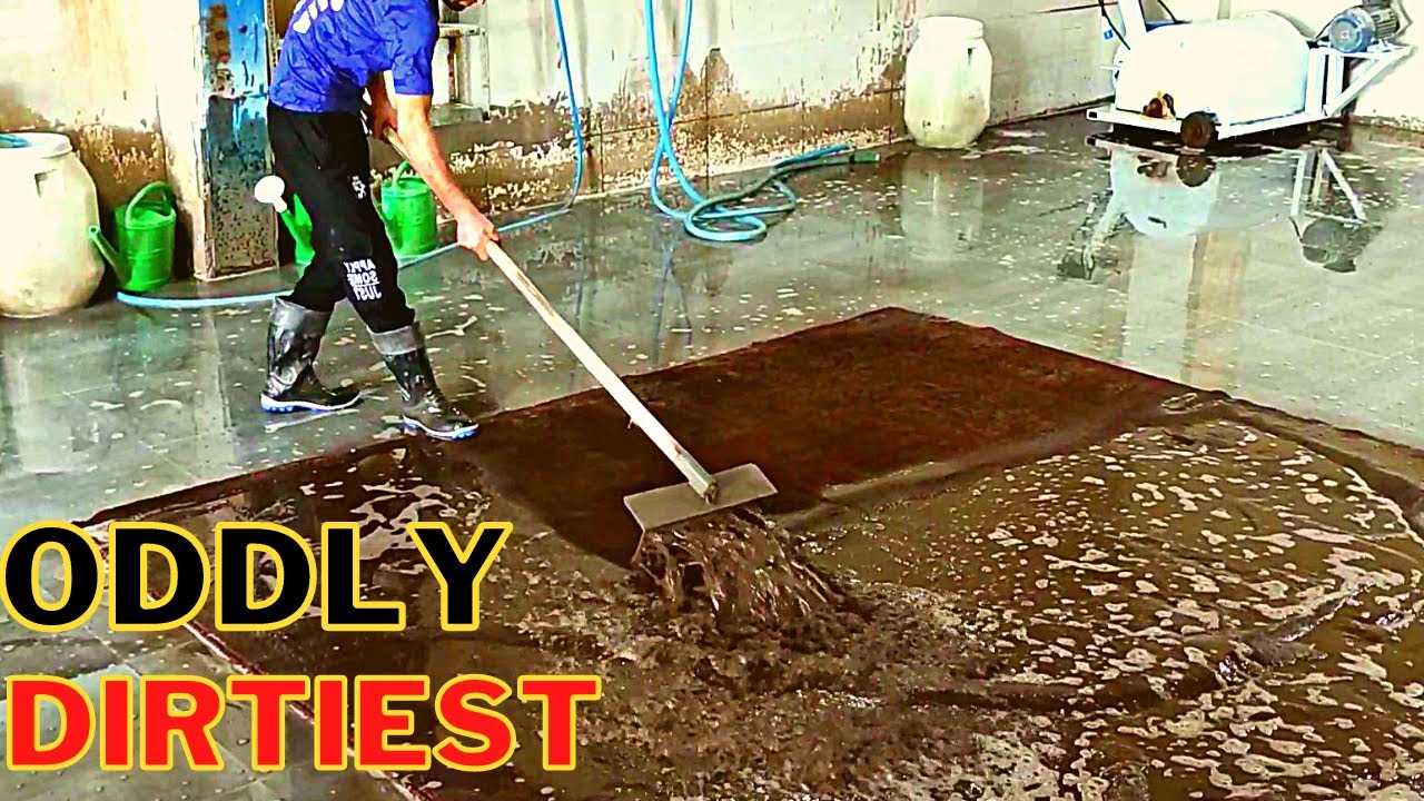 Oddly Dirtiest Carpet Cleaning Ever  |  Was Black Water In Toilet Tank ?  ASMR