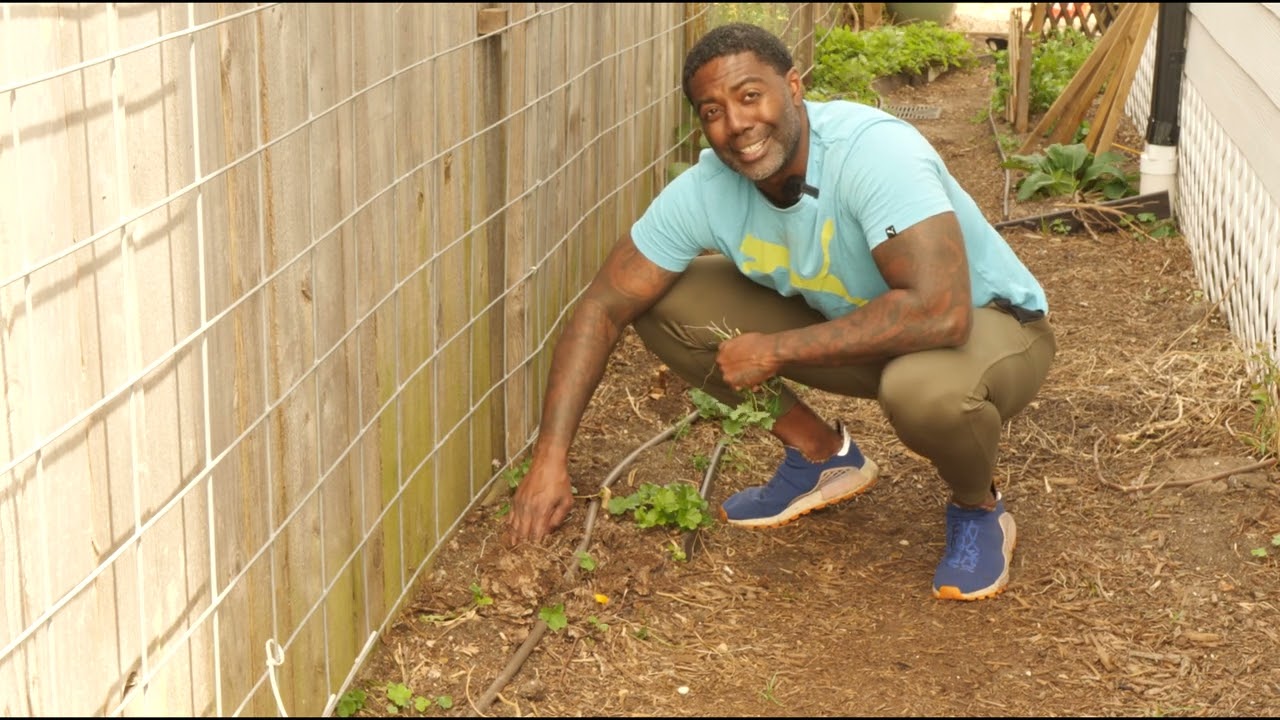 &ldquo;The 10-Minute Weeding Hack That Saves Hours in Your Garden! 🌱 (Easy Daily Routine)&rdquo; DAY 3