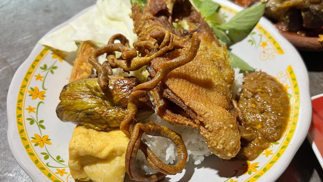 NASI BEBEK TAHU TEMPE TERONG CUMA 16 RIBU BONUS USUS