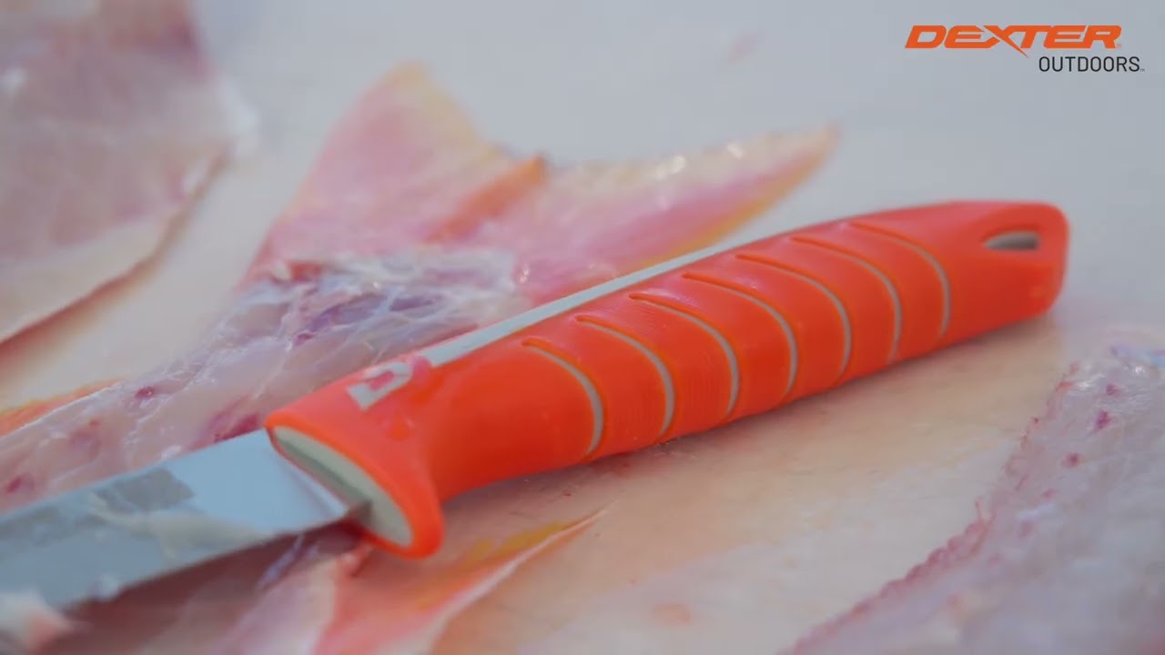 Dexter DX10S Dextreme 10