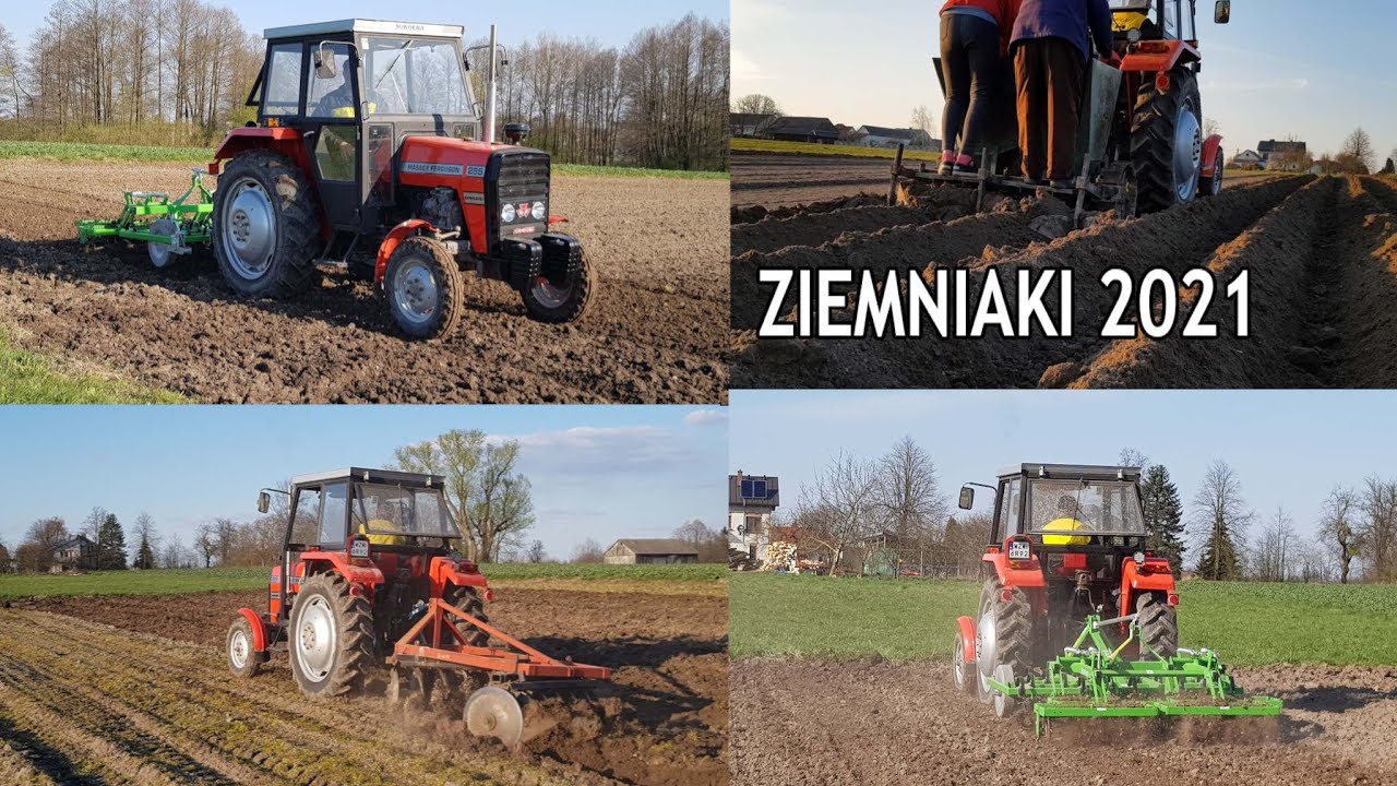 ☆UPRAWA I SADZENIE ZIEMNIAKÓW 2021☆MF-255☆