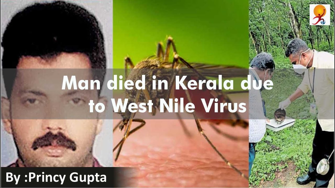 Kerala Man Dies Of West Nile Virus | West Nile Virus outbreak | What is West Nile Virus ?