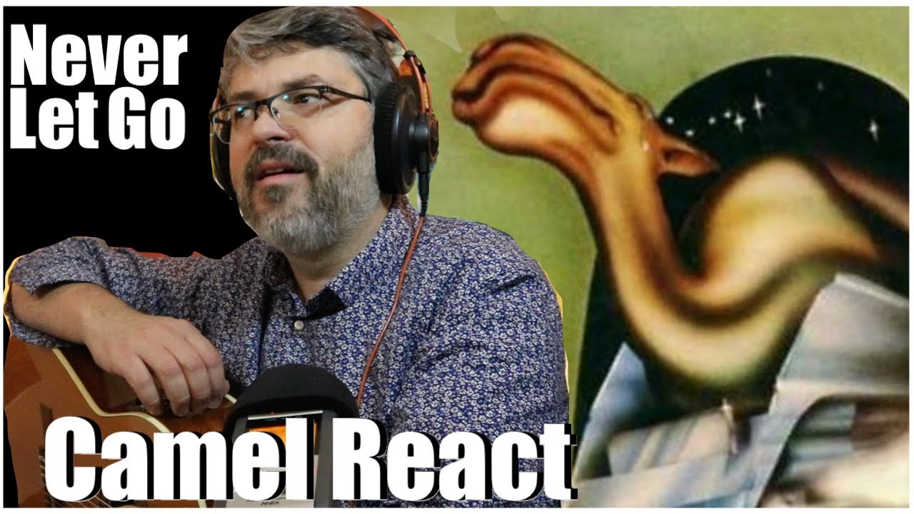 Camel (Guitarist's Reaction) 