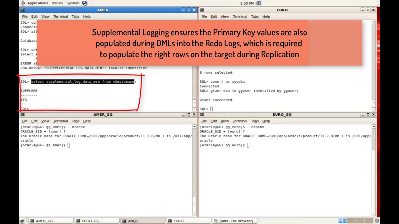 Database Configuration for Oracle GoldenGate - Demonstration - GG Video 12