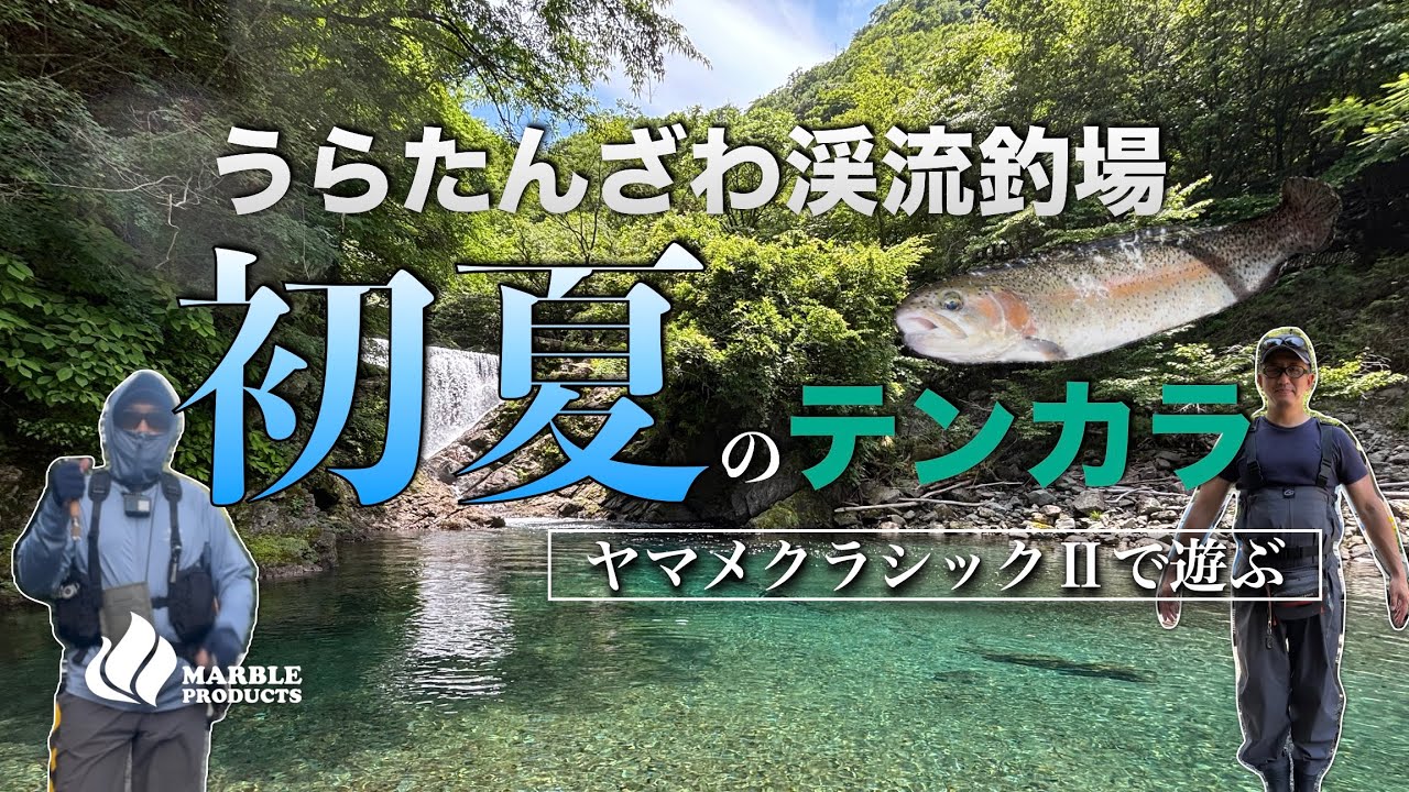 【うらたんざわ渓流釣場】ヤマメクラシックⅡで初夏のテンカラ/果たしてポンコツアングラーズは久々の毛鉤釣りで釣れるのか？【TENKARA】