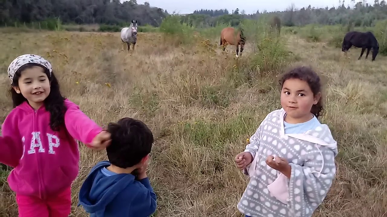 Paseo al Campo