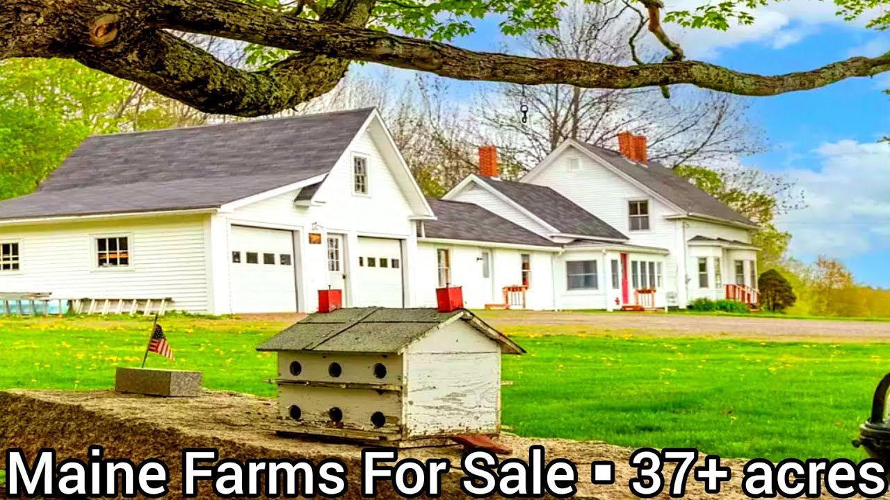 Maine Farms For Sale | $324k | 37+ acres | Maine Land For Sale | Maine Real Estate For Sale