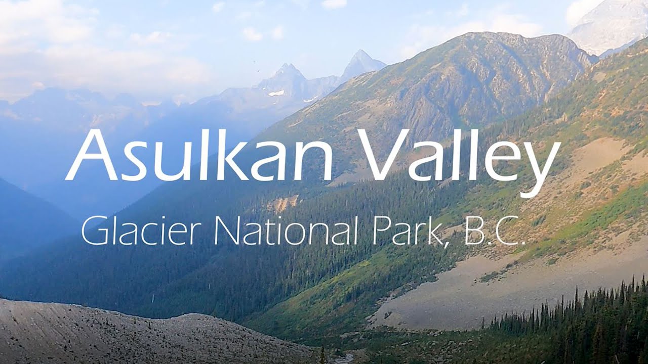 Scenic hiking up Asulkan Valley in Glacier National Park with our dogs [Hiking, Rockies Roadtrip]