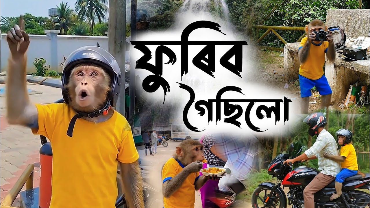 কাংঠিলাংচু Waterfall 😱 | Sumon Bandor Vlog | Assamese Vlogs | Bandor Bhokot Assamese Monkey Vlogger
